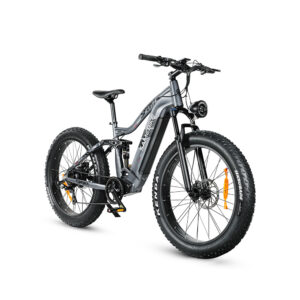 Mountain Ebike