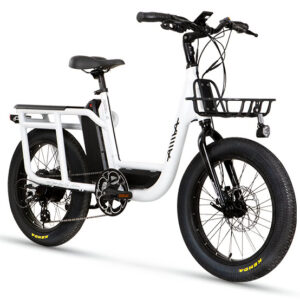 Cargo Ebike