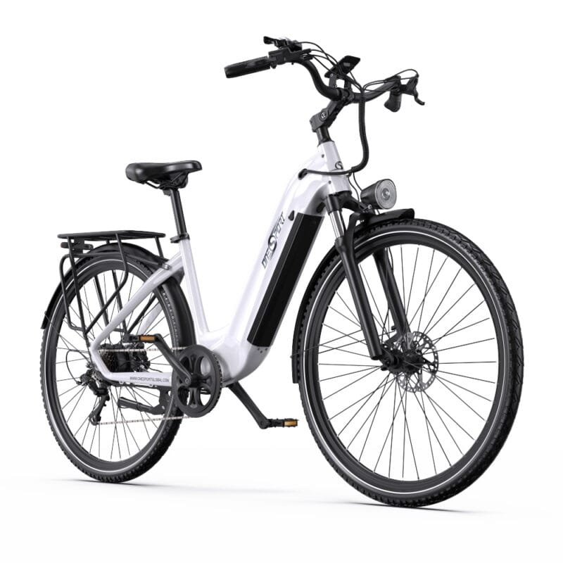 700CC Electric Bike BOT05 pro