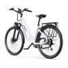 700CC Electric Bike BOT05 pro - Image 5