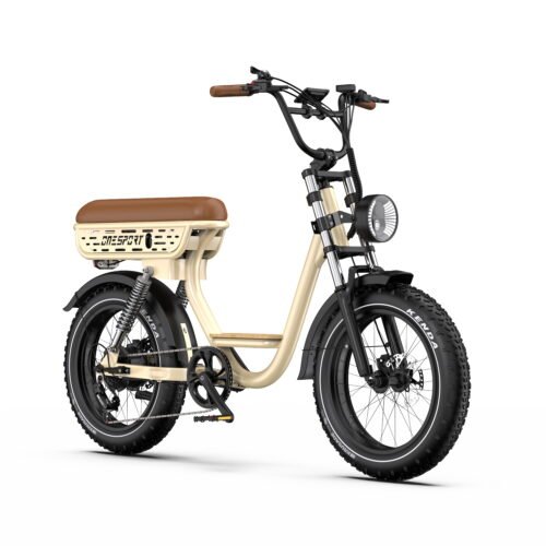 BSOCOOL W77 500W Fat Tire Electric Bike