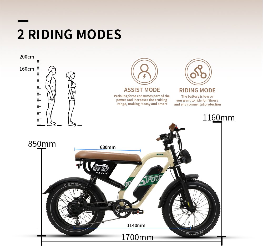 ebike w66 500w long range electric commuter bike (25km/h)