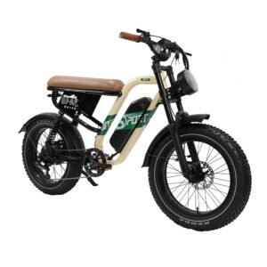 ebike w66 500w long range electric commuter bike (25km/h)