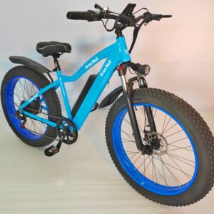 Hard Tail Snow Electric Bicycle