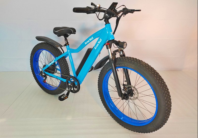 Hard Tail Snow Electric Bicycle