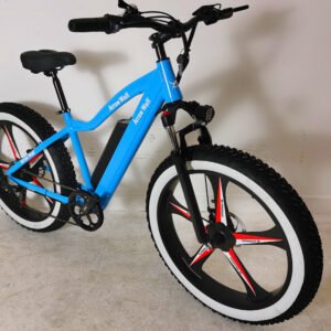 26'' Fat Tire Electric Bike With Integrated Wheels BSX2-A
