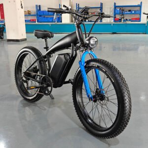 Fat Tire Beach Cruiser with front suspension