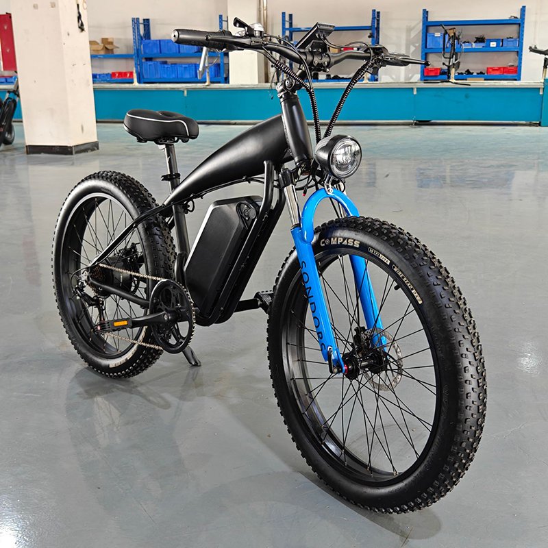 Fat Tire Beach Cruiser with front suspension