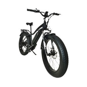 26'' Fat Tire Aluminum Alloy Electric Bicycle for Adults BSX6