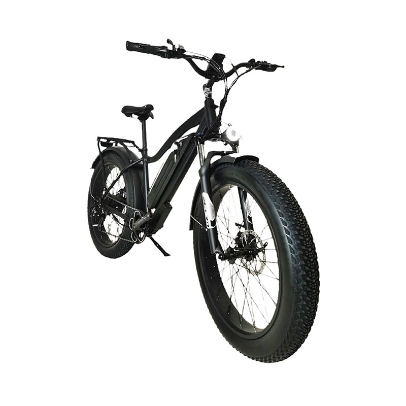26'' Fat Tire Aluminum Alloy Electric Bicycle for Adults BSX6
