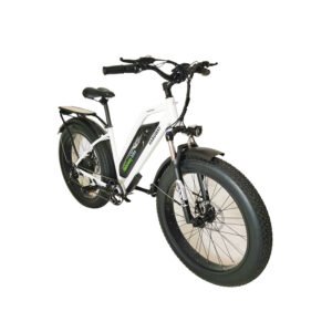 500W Cruiser Step-Thru Long Range All Terrain Electric Bike BSX7