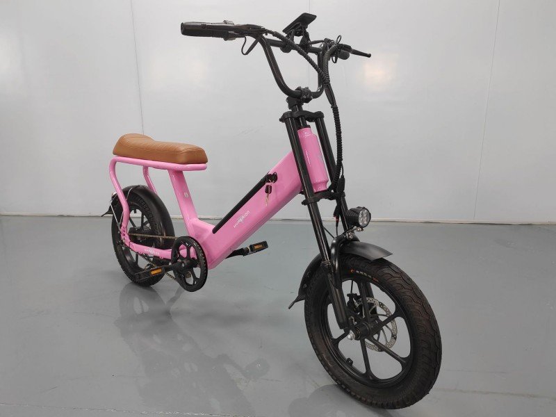 16-inch Double-seat Electric Bicycle T7