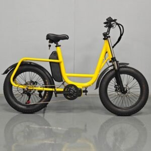 20 inch fat tire express delivery electric bicycle for adults