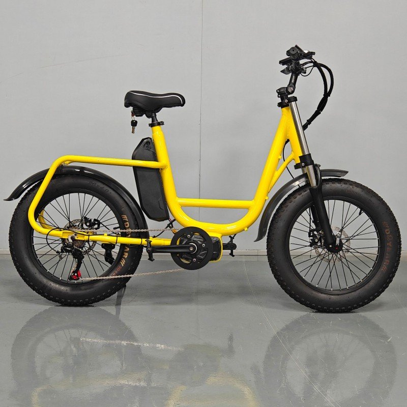 20 inch fat tire express delivery electric bicycle for adults