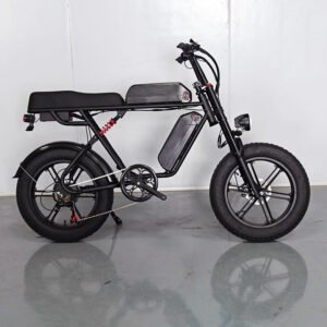 dual battery electric bike