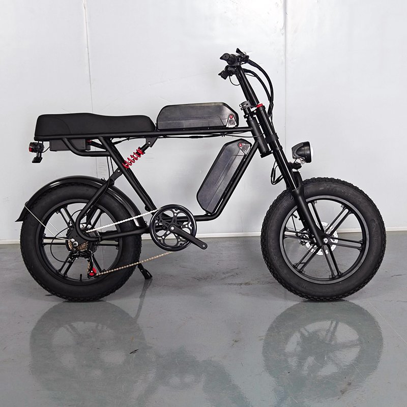dual battery electric bike