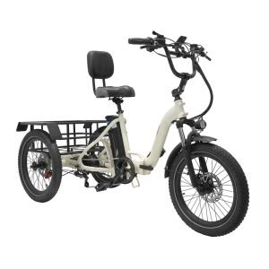 electric tricycle